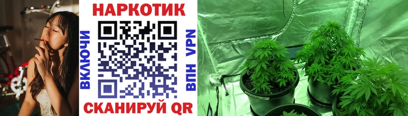 Купить закладку Советск Кодеин АМФЕТАМИН А ПВП Меф Кокаин Канабис Гашиш