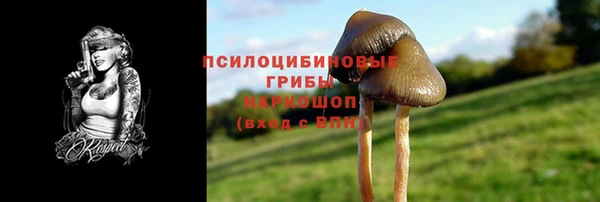 мяу мяу мука Балабаново